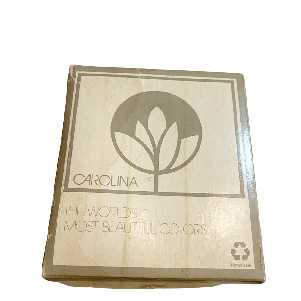 Carolina Taper Candles - Ivory - 5 inches Long - (Pack of 7) Made In USA.